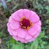 jennifer_nader